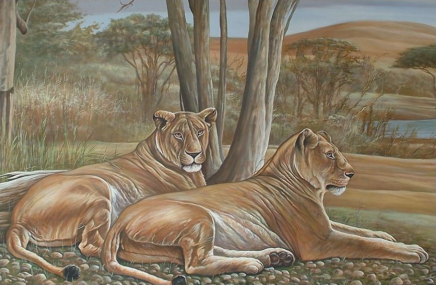 twee leeuwen